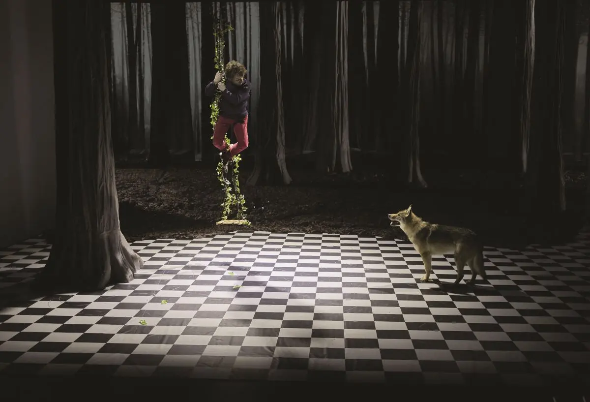 cirque-magie-le-bruit-des-loups