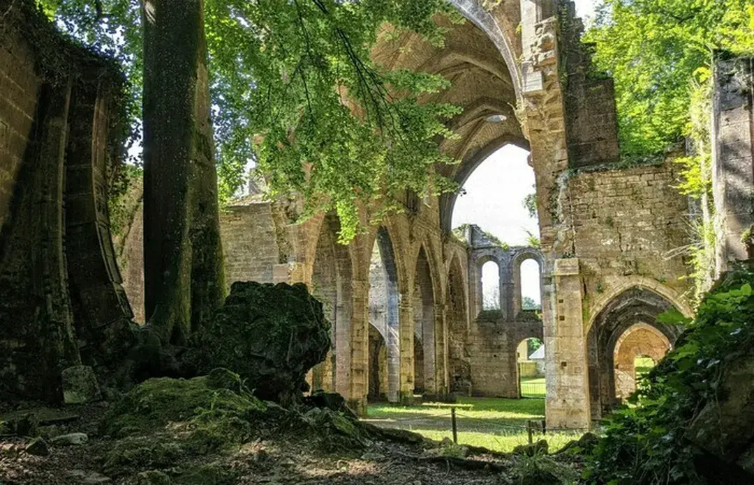 ©Aurélie Boileau - Découvrez une ancienne abbaye cistercienne, entre nature et vestiges, lors d'une visite guidée