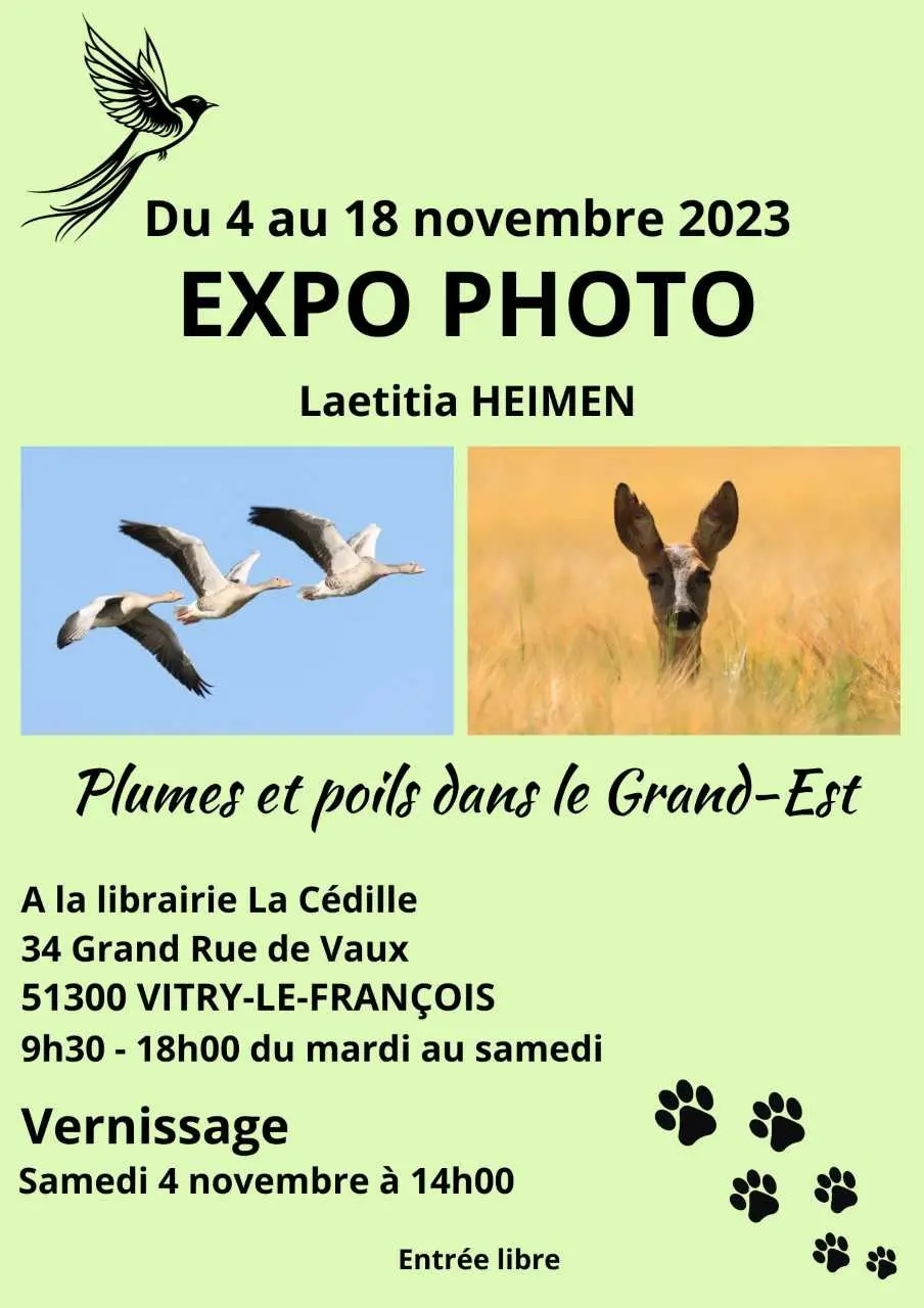 EXPO LAETITIA HEIMEN LA CEDILLE VLF