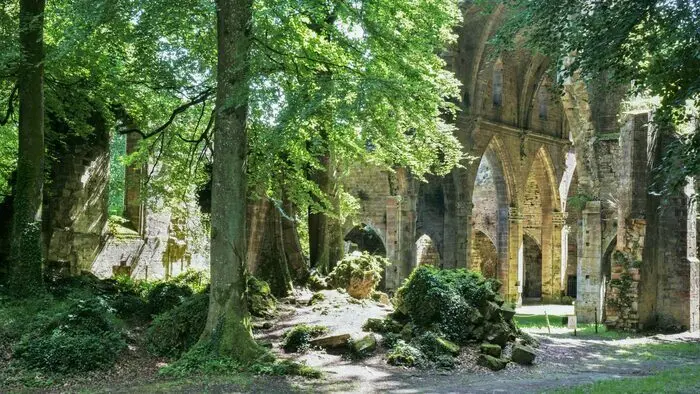 Abbaye-Trois-fontaines-levez-le-voile