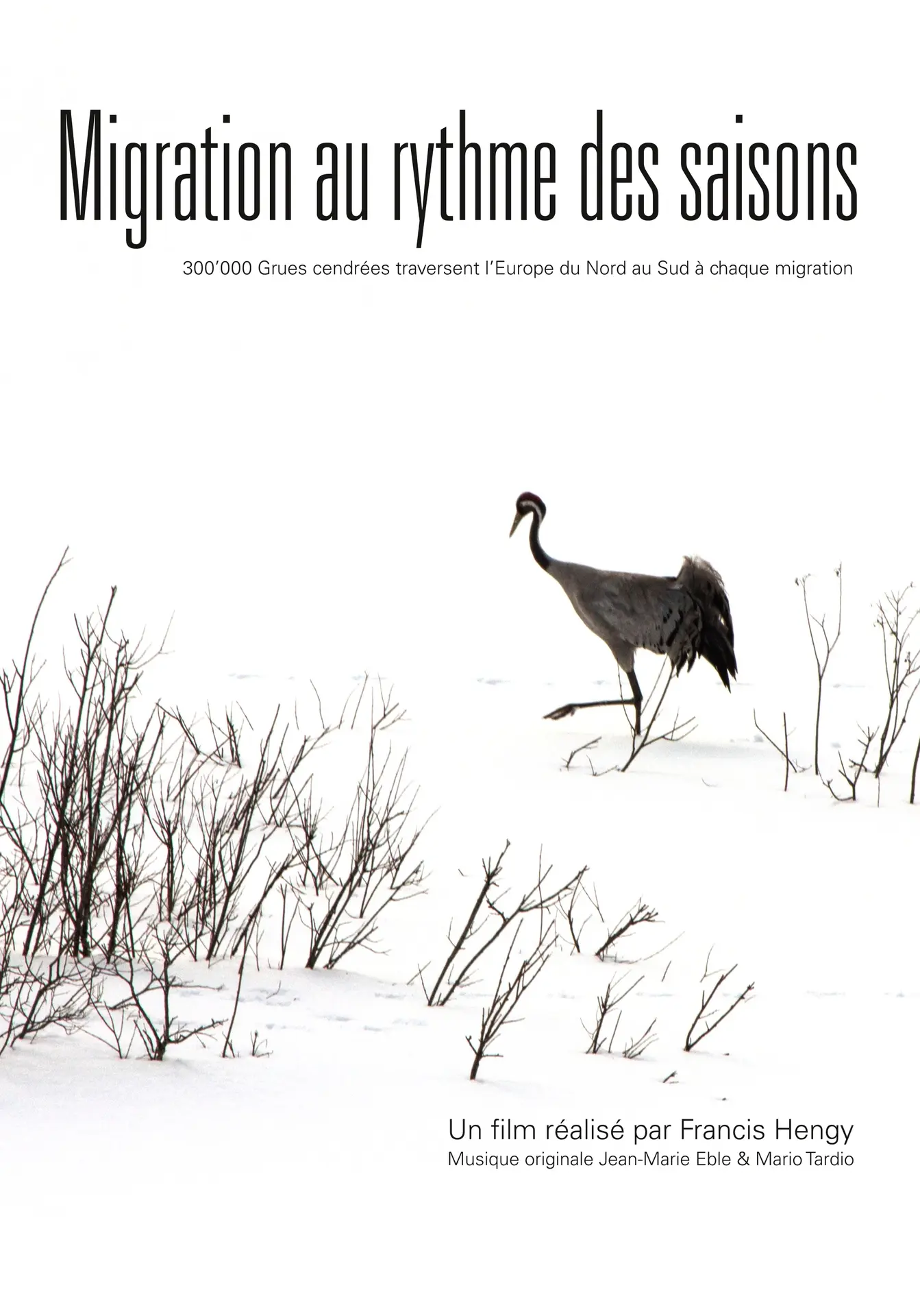 Affiche_Francis Hengy-1