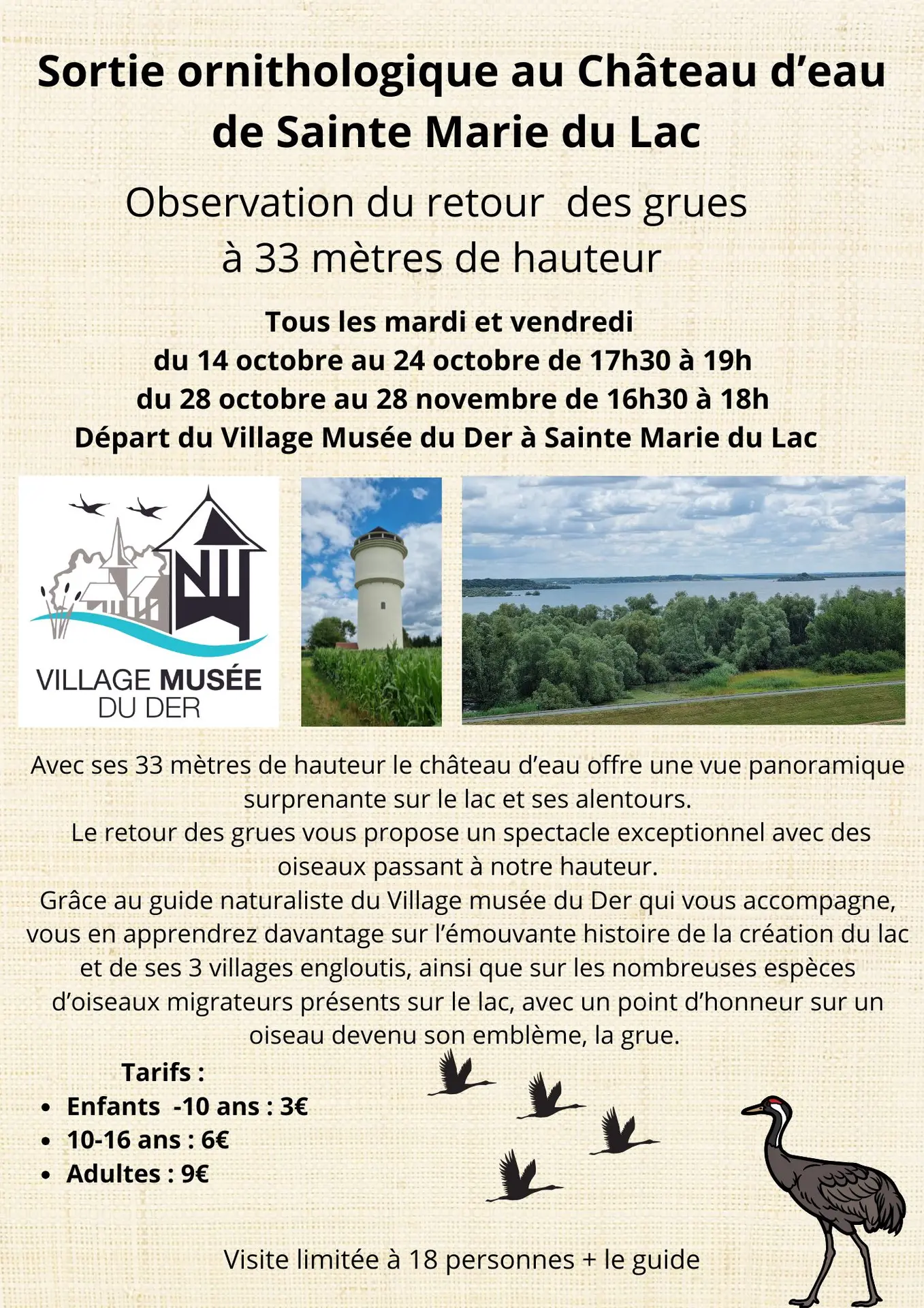 Sortie Ornithologique au Château d'eau - 1