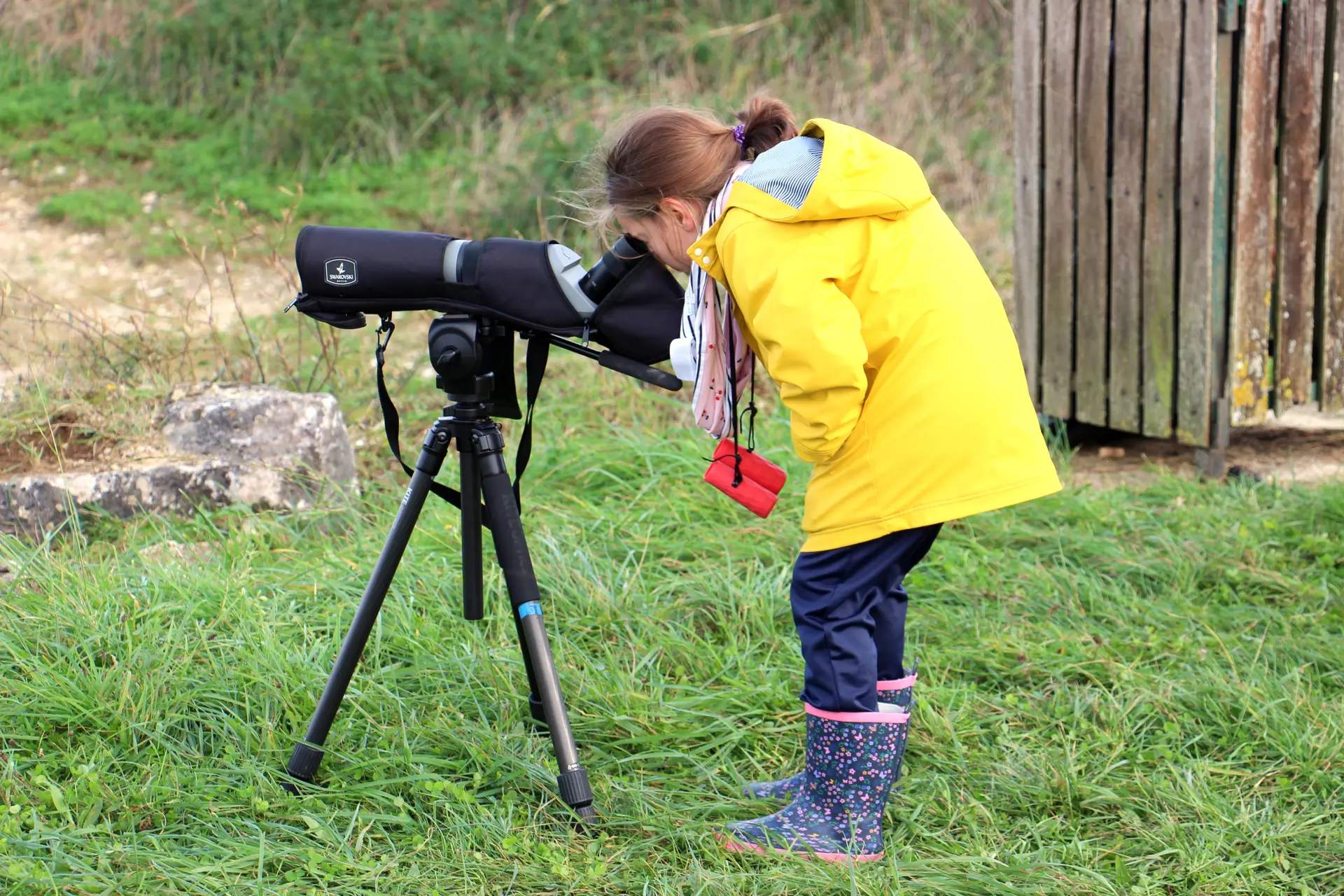 Train aux oiseaux - Enfant observant les oiseaux