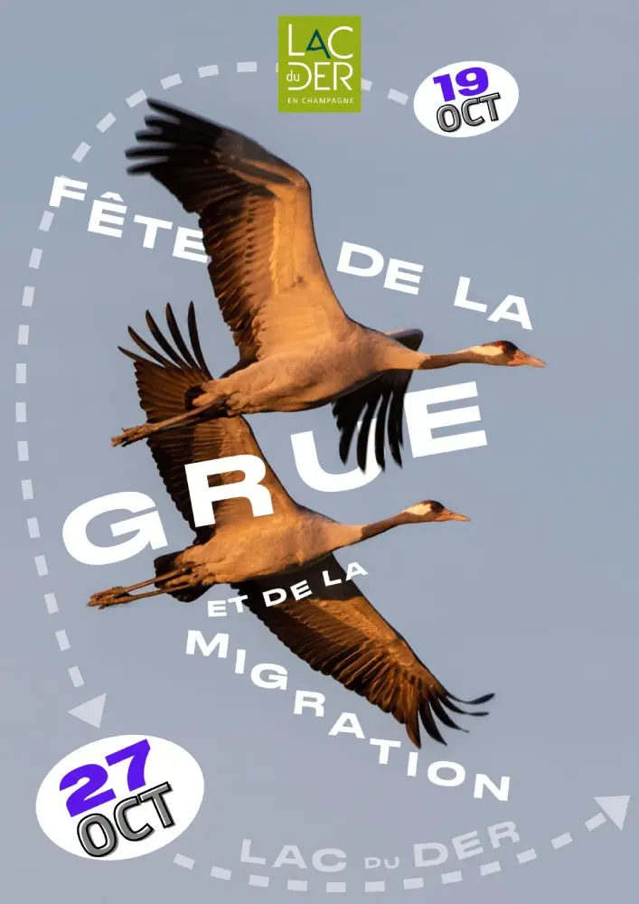 affiche_fdg_2024-pdf