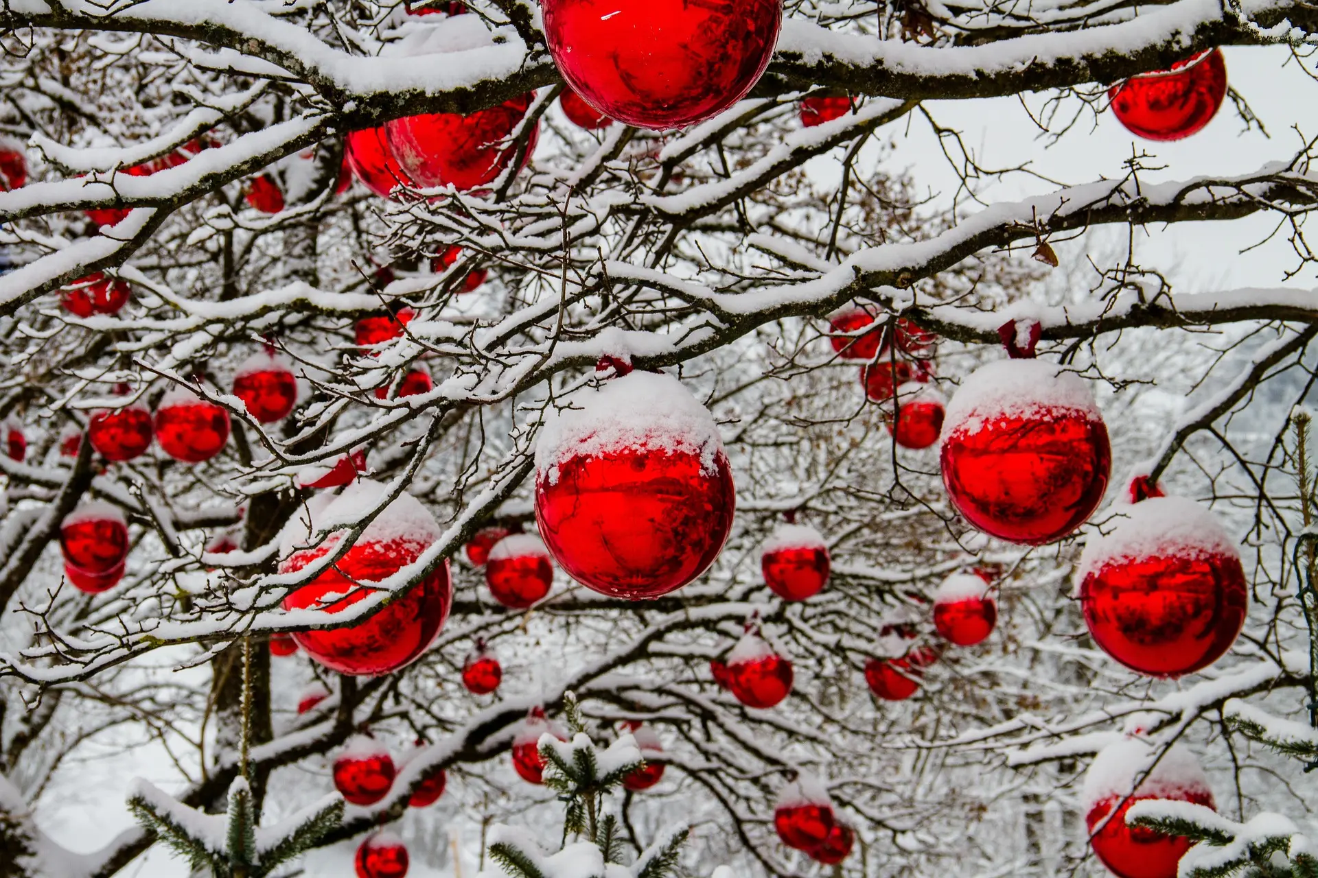 Noël