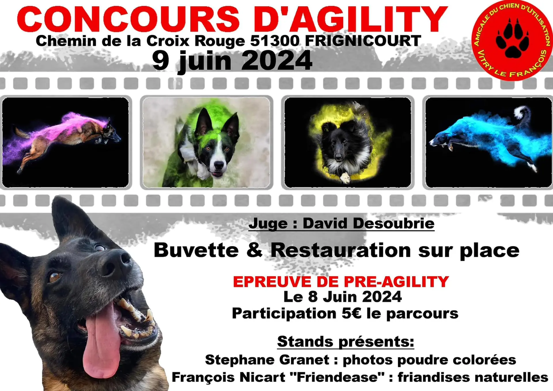 CONCOURS D AGILITY