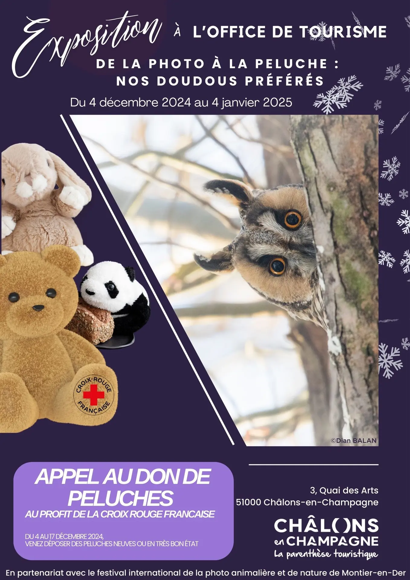 exposition-photos-peluches-ot-chalons-noel