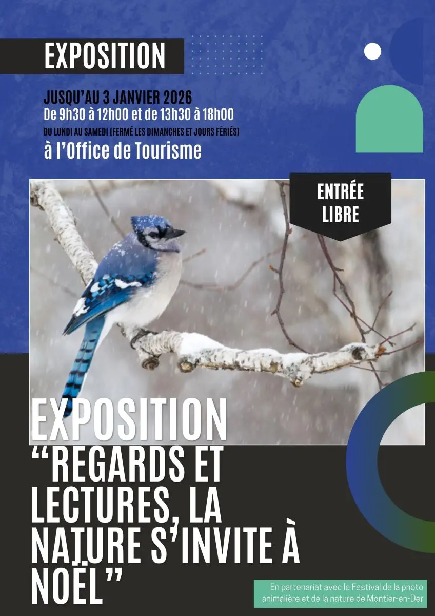 exposition-regards-et-lectures-la-nature-sinvite-a-noel-chalons-tourisme