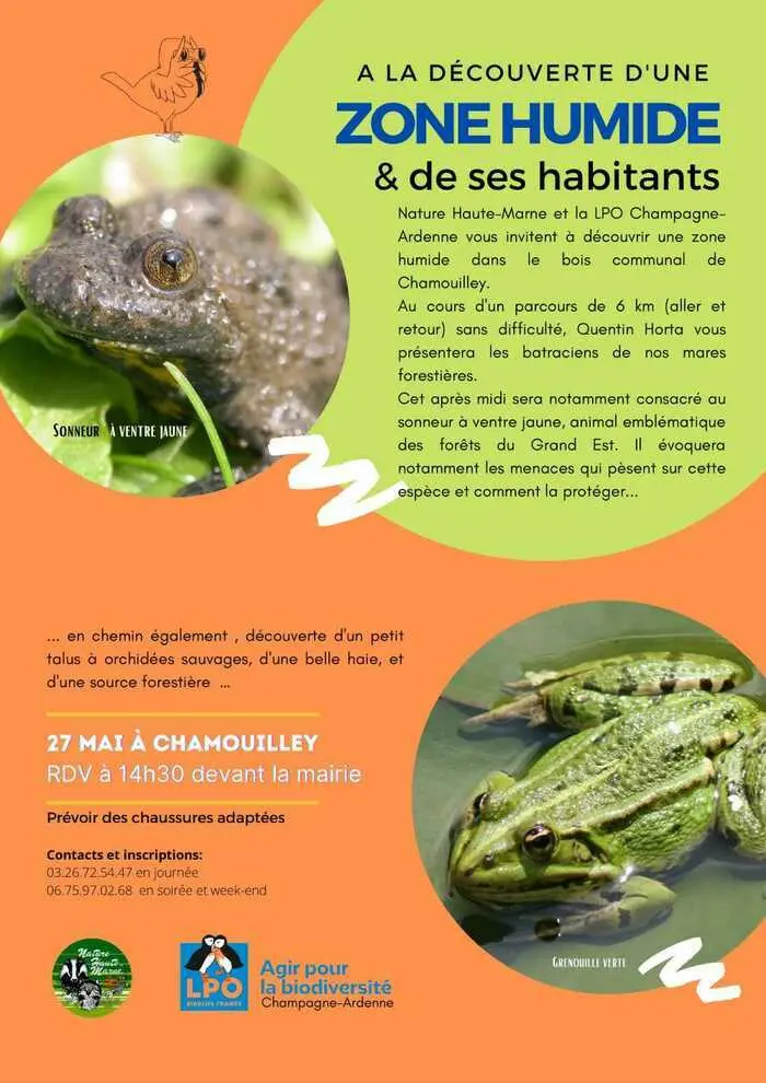 fête nature chamouilley