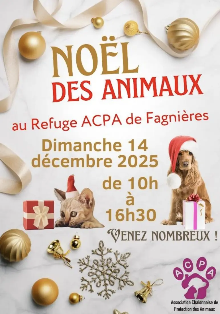 noel-des-animaux-acpa-fagnieres