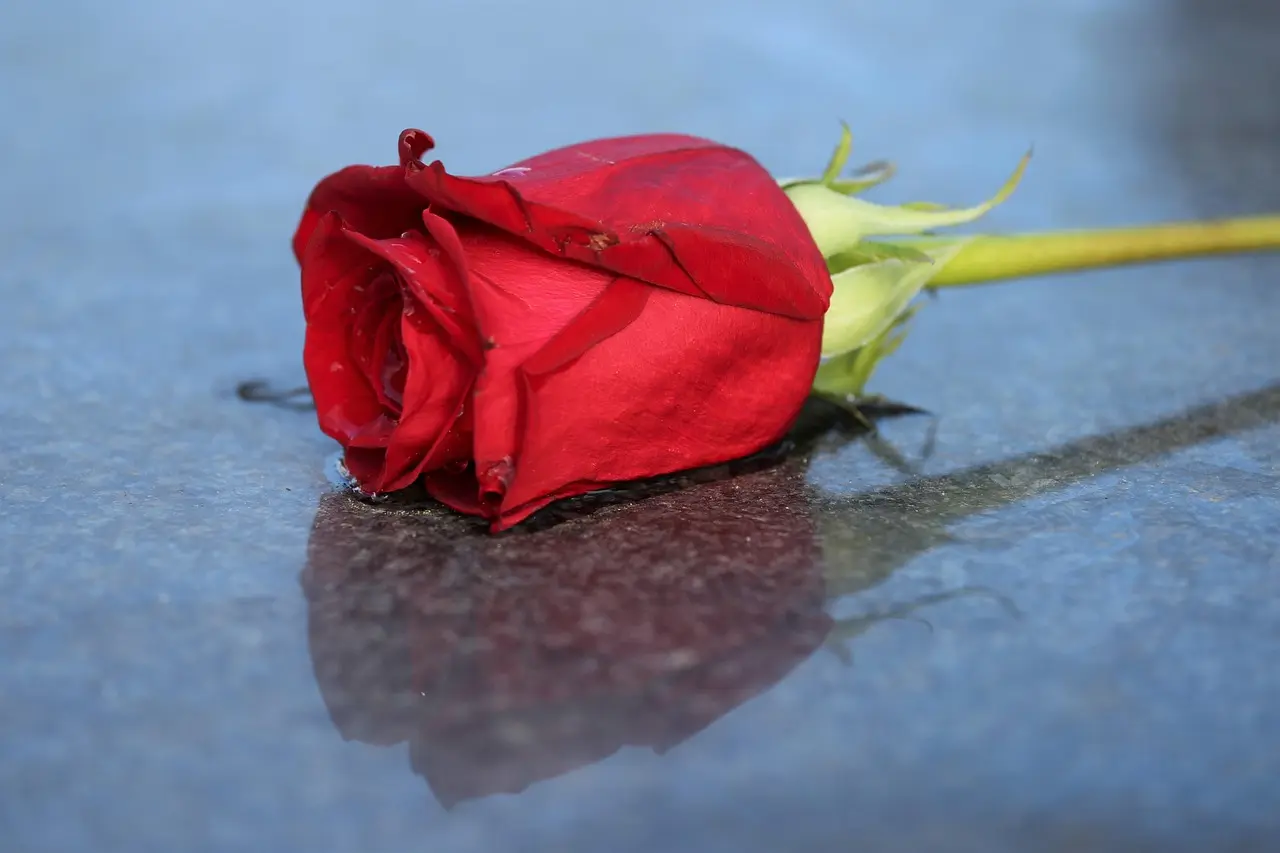 Cimetière