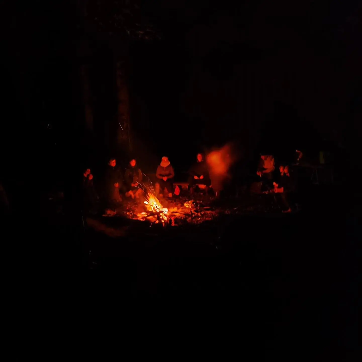 sophro nocturne