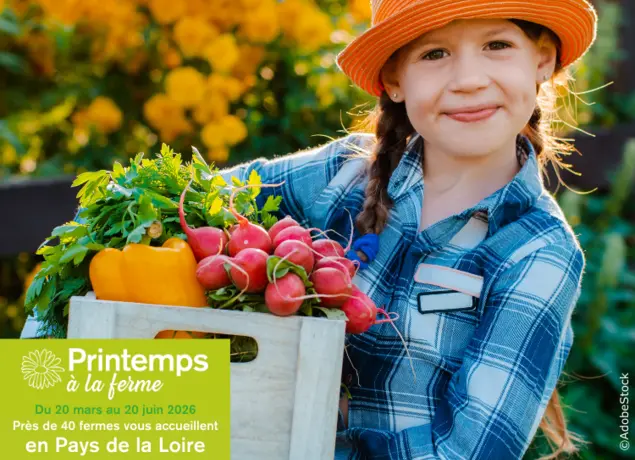 69b3ecbb8534d768074916