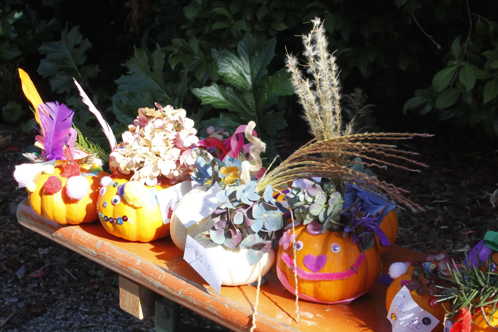 ateliers citrouilles Jardins des renaudies  colombiers du plessis 53