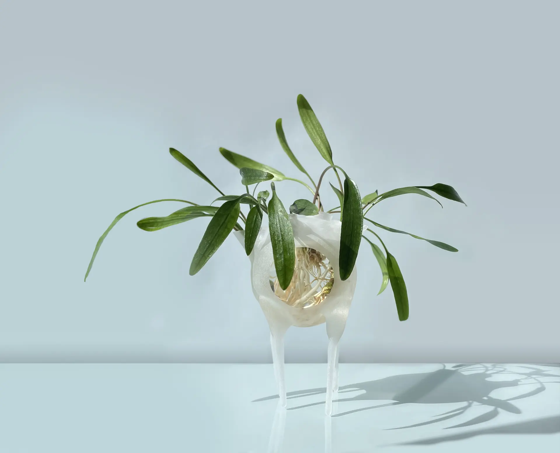 18 - formes fertiles ©Éléonore Gold-Dalg_tout droit réservé (1)