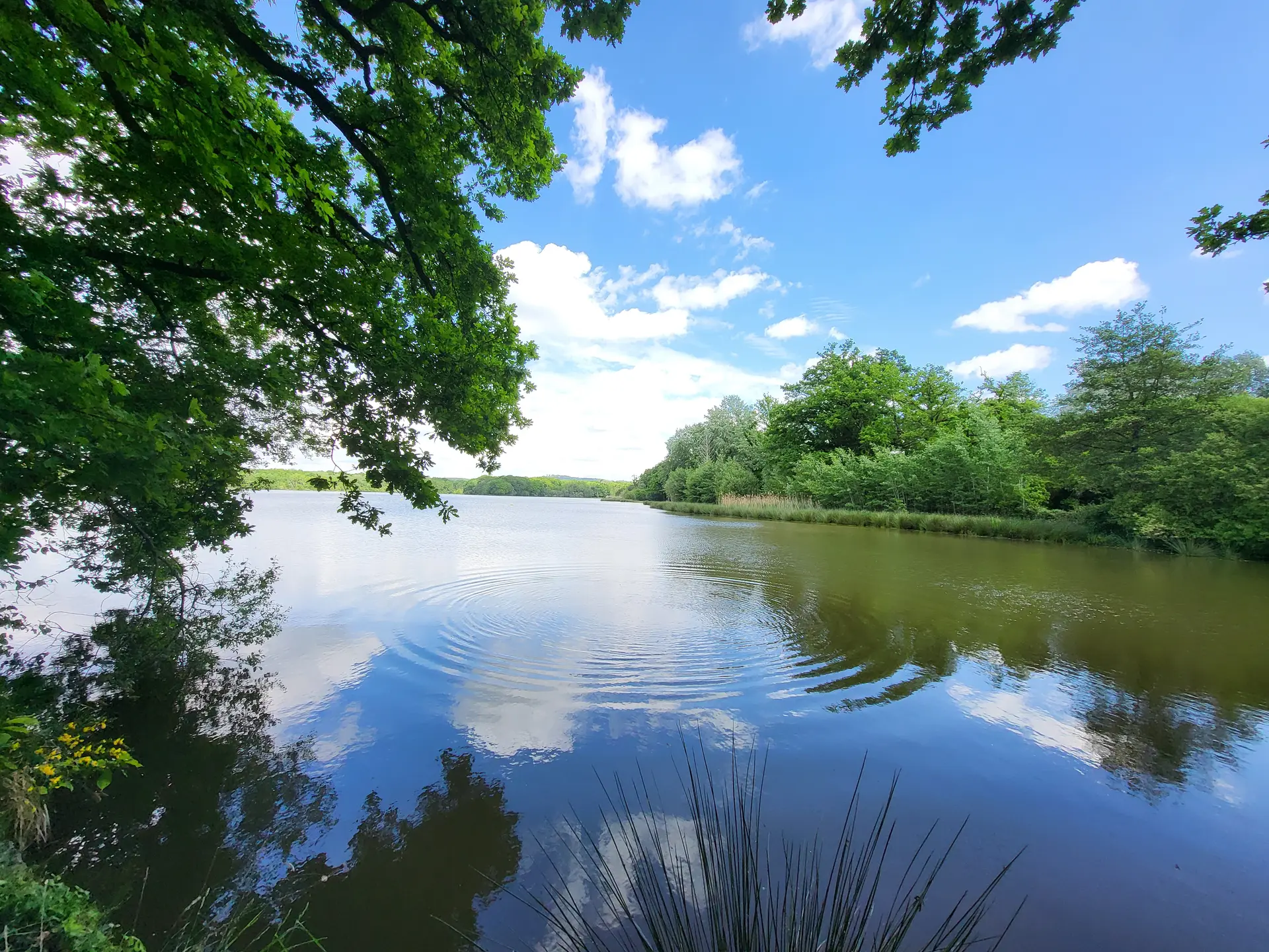 2025_gué_de_selle (3)