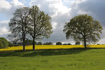 28-CP-Dominique_VERNIER-10007460