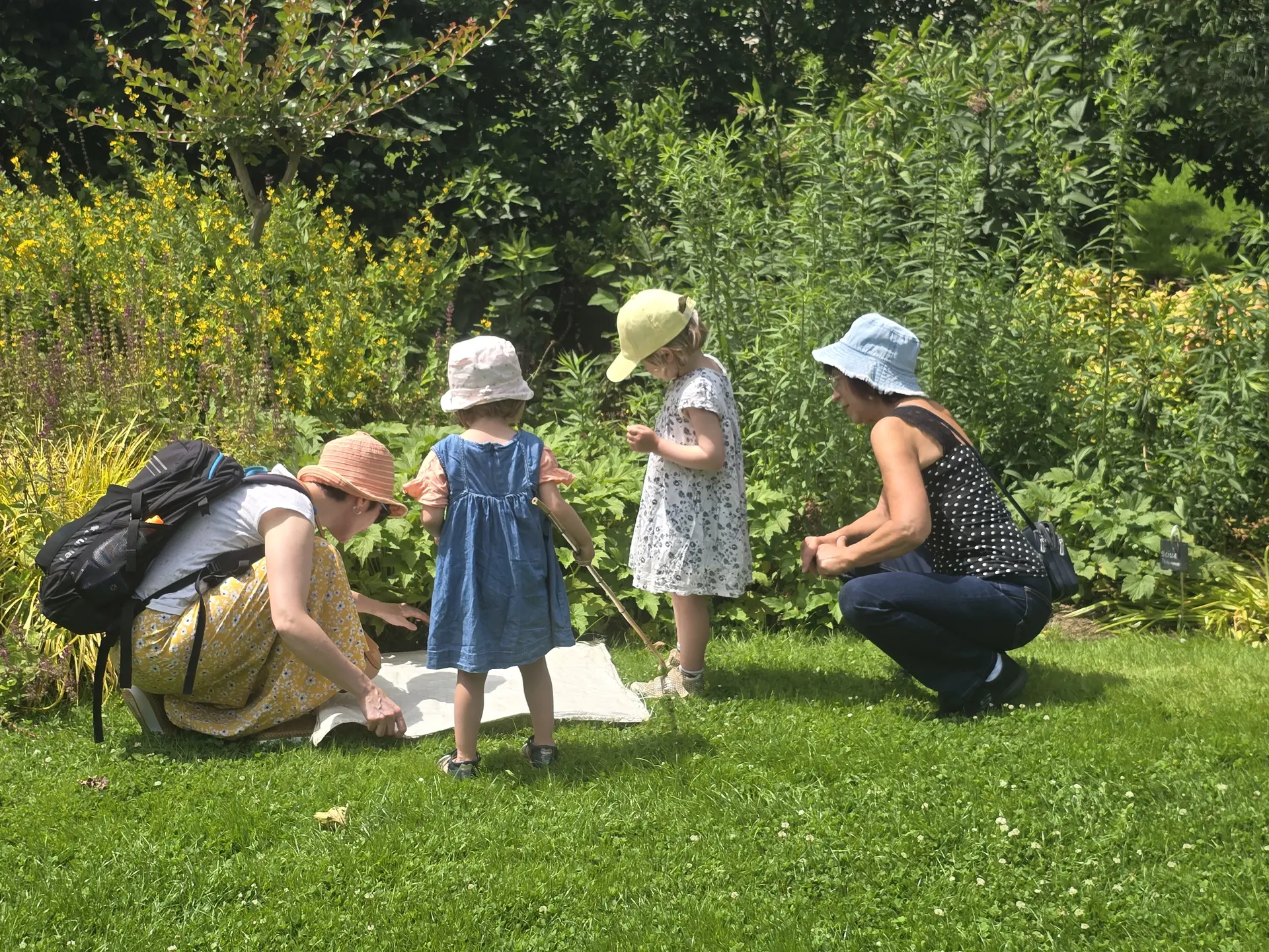 Animations Petites Bêtes, Amies du jardinier Les Jardins des Renaudies 6