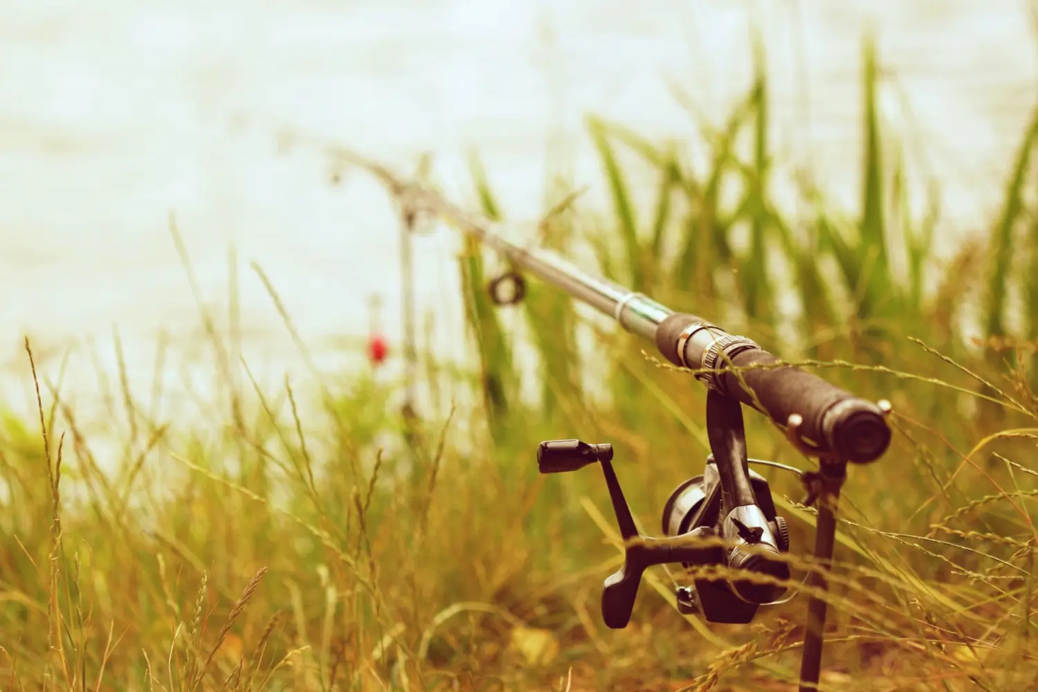 Canne à pêche_Freepik