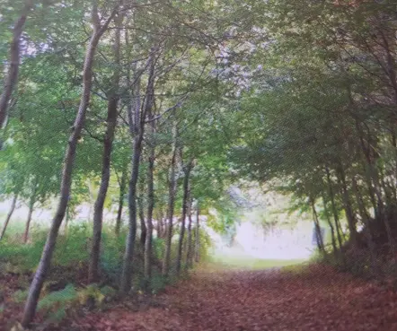 Capture d’écran 2026-03-10 153253