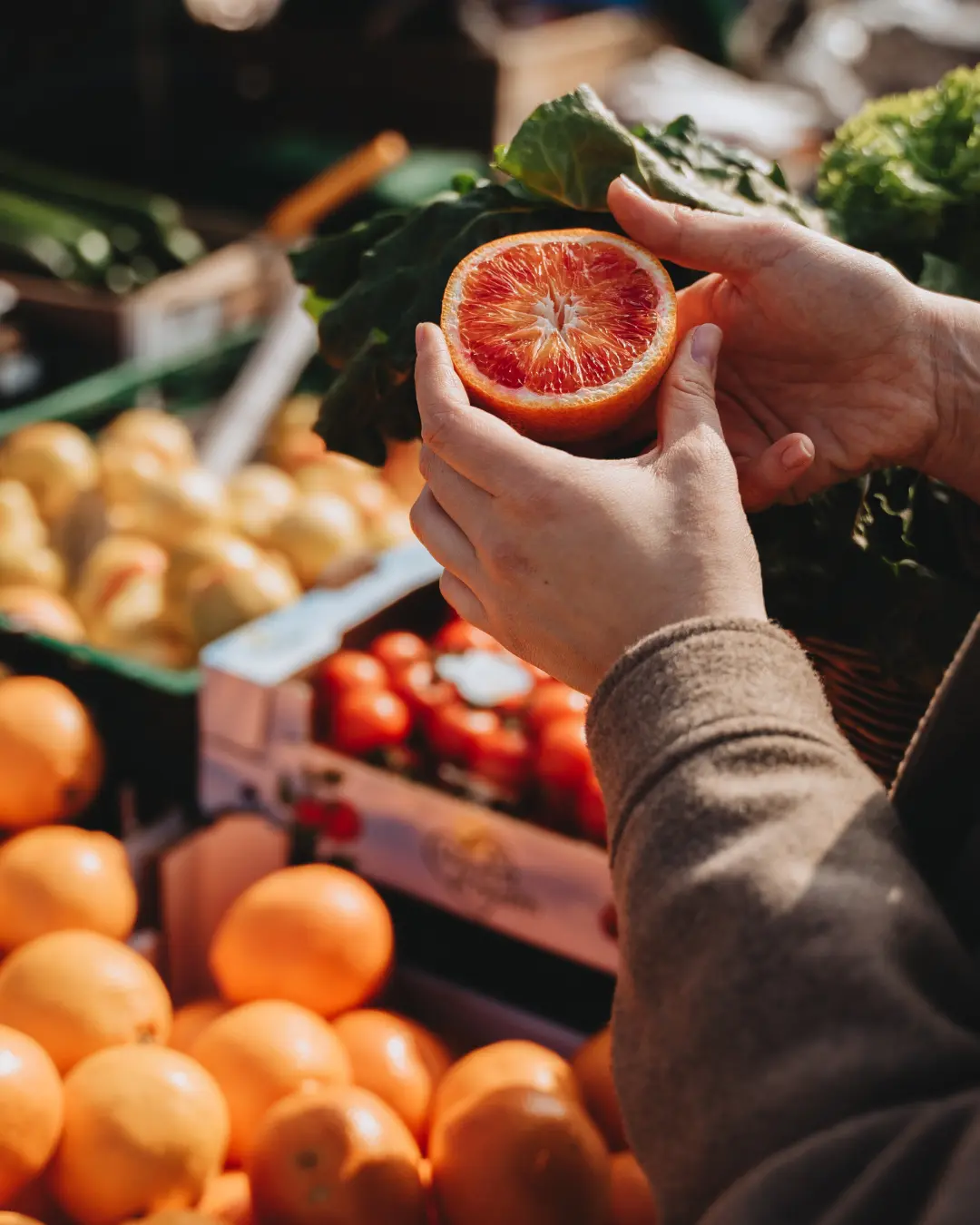 Design sans titre - 1