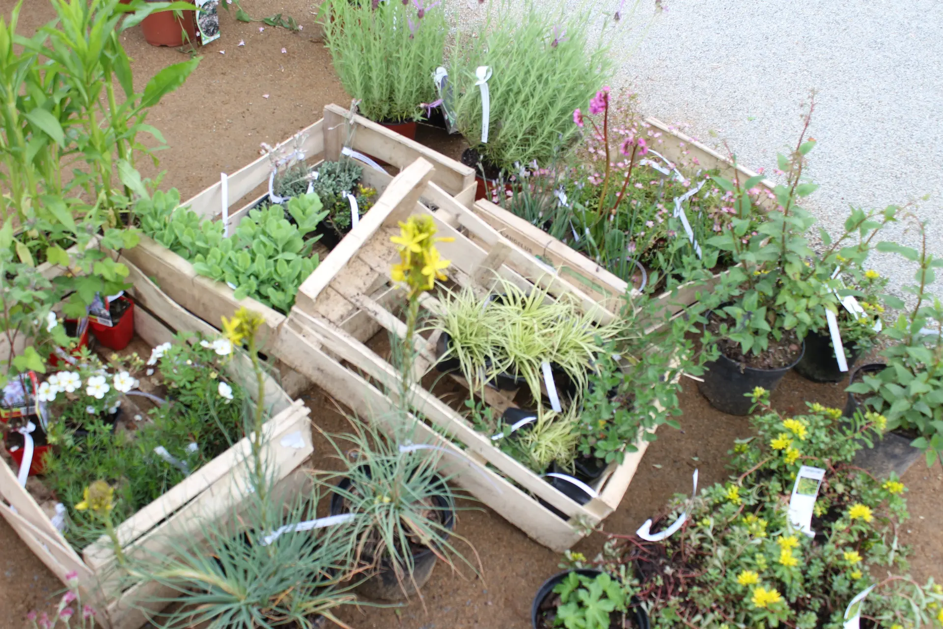 jardins-des-renaudies-colombiers-du-plessis-53-fma-4