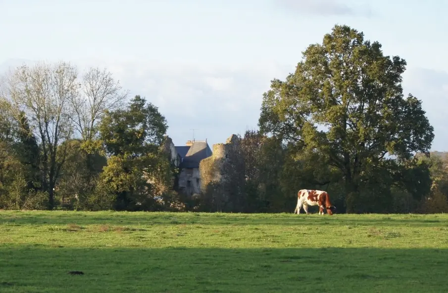 Manoir de la Béchère