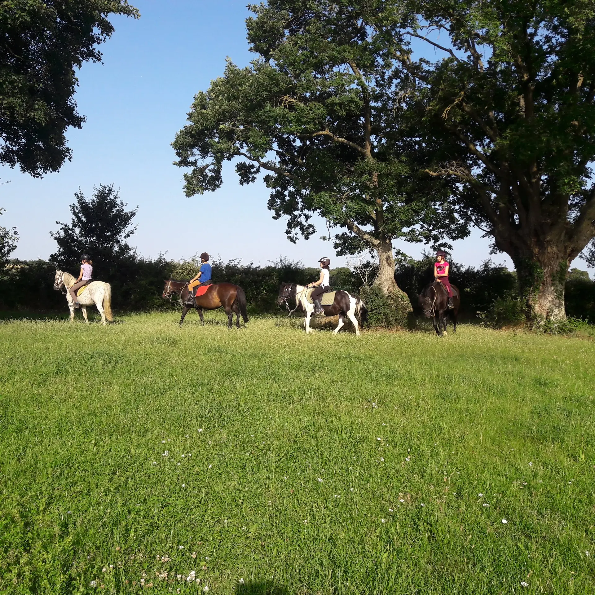 PHOTOS BALADE PONEY ESP EQU