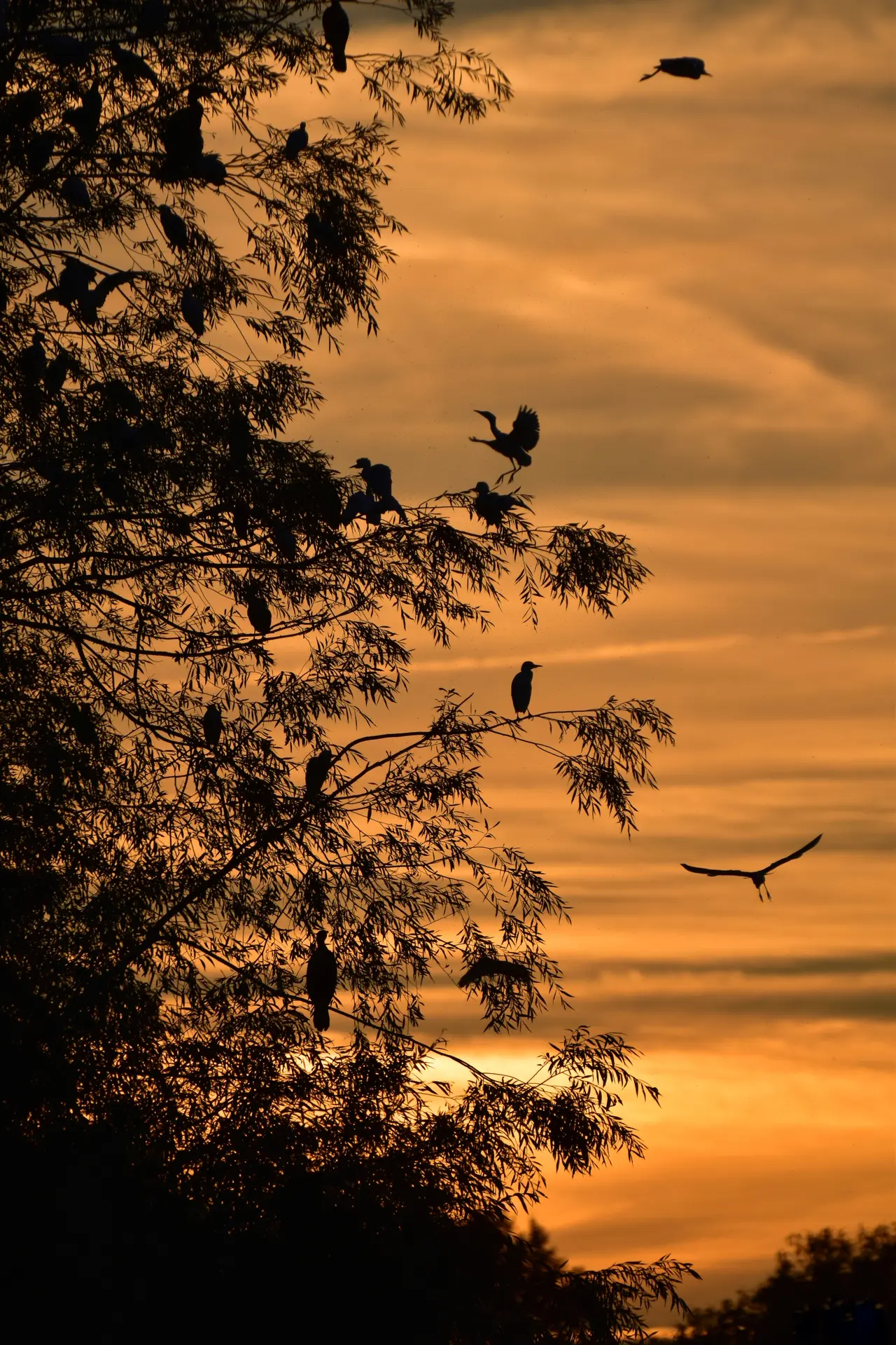 Au crépuscule