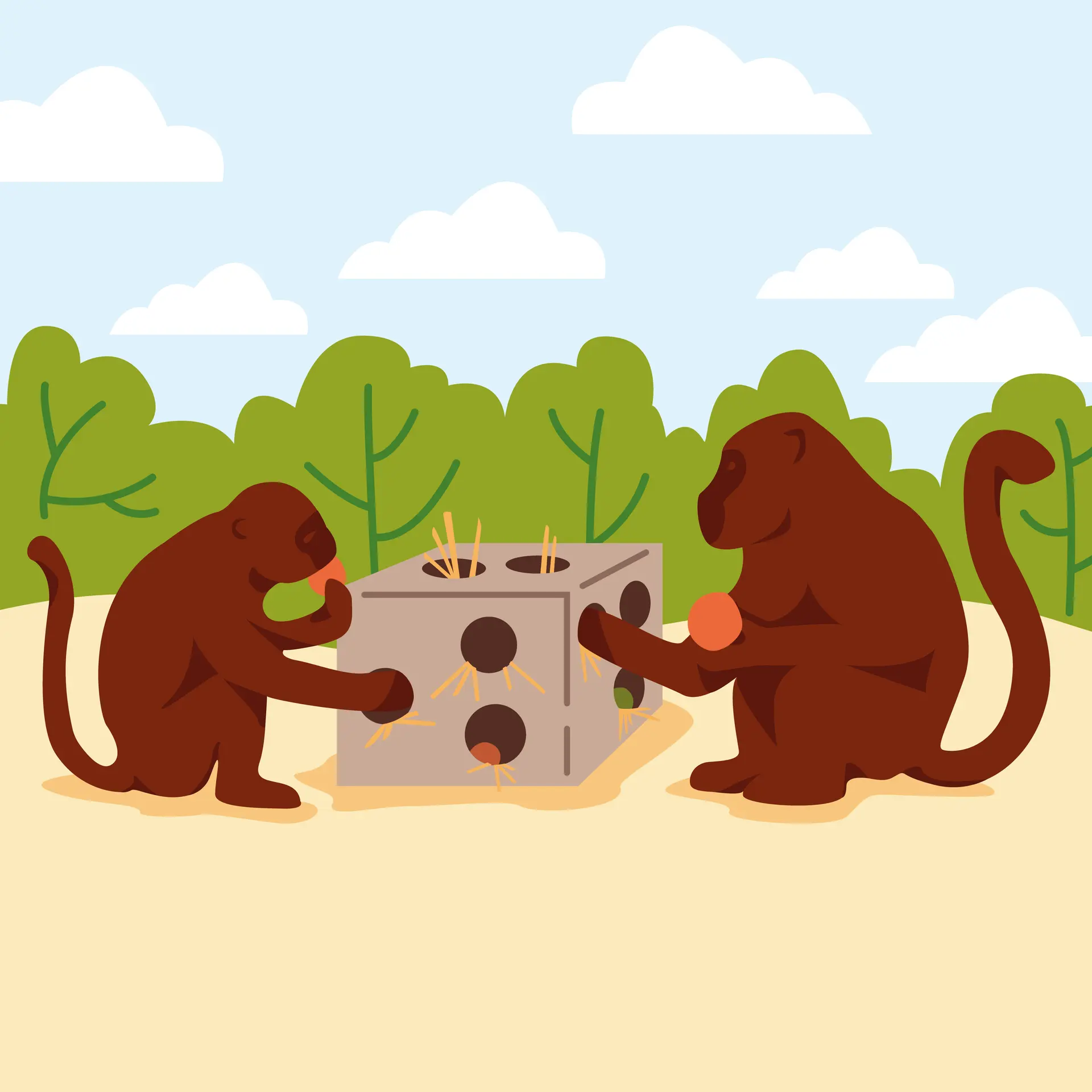 SITE_Enrichissements