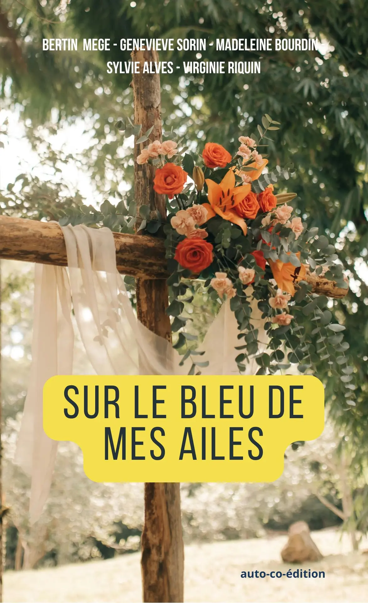 couverture sur le bleu de mes ailes