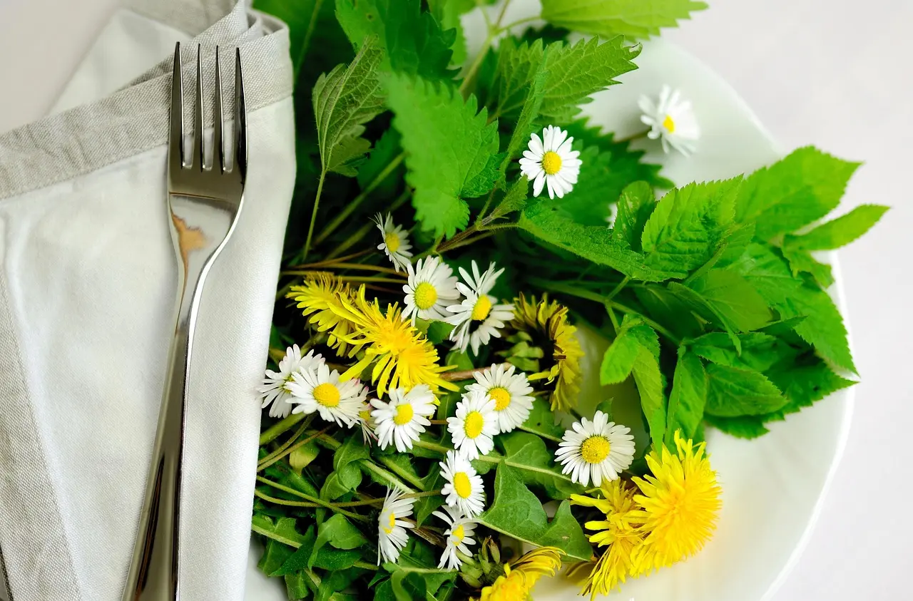 Sortie nature sur les plantes comestibles