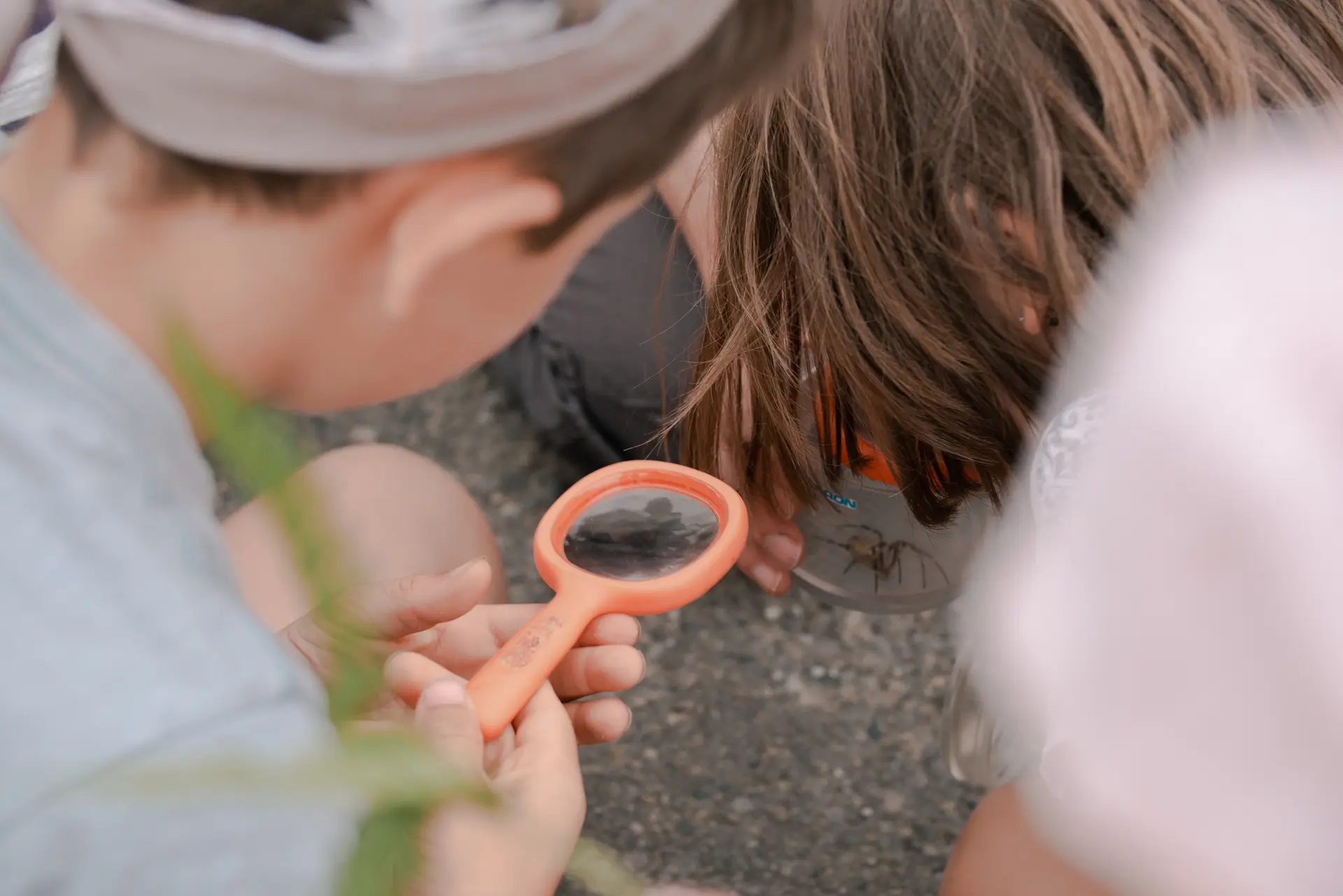 Animation grand public