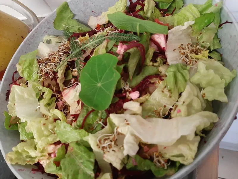 ateliers_plantes_comestibles_cuisine_yoga_MaisonMorgane_DestinationBroceliande