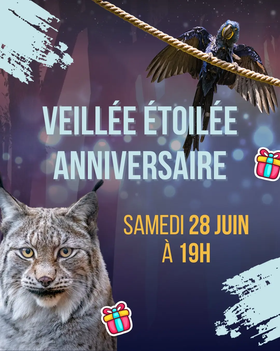Veillée étoilée