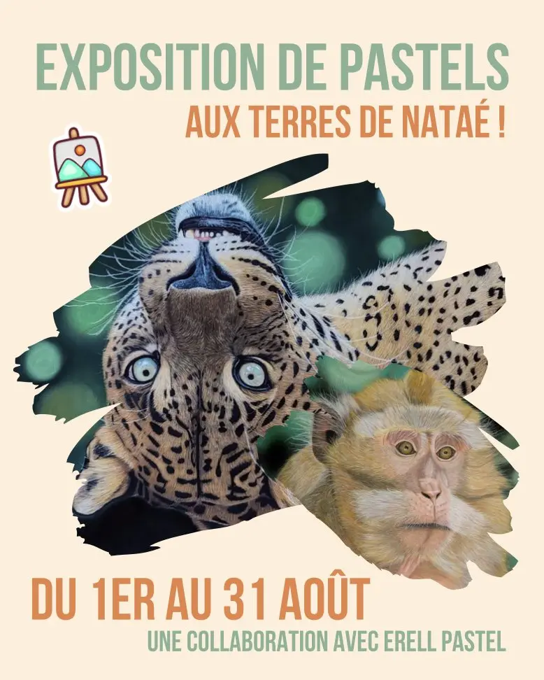 Exposition de pastels
