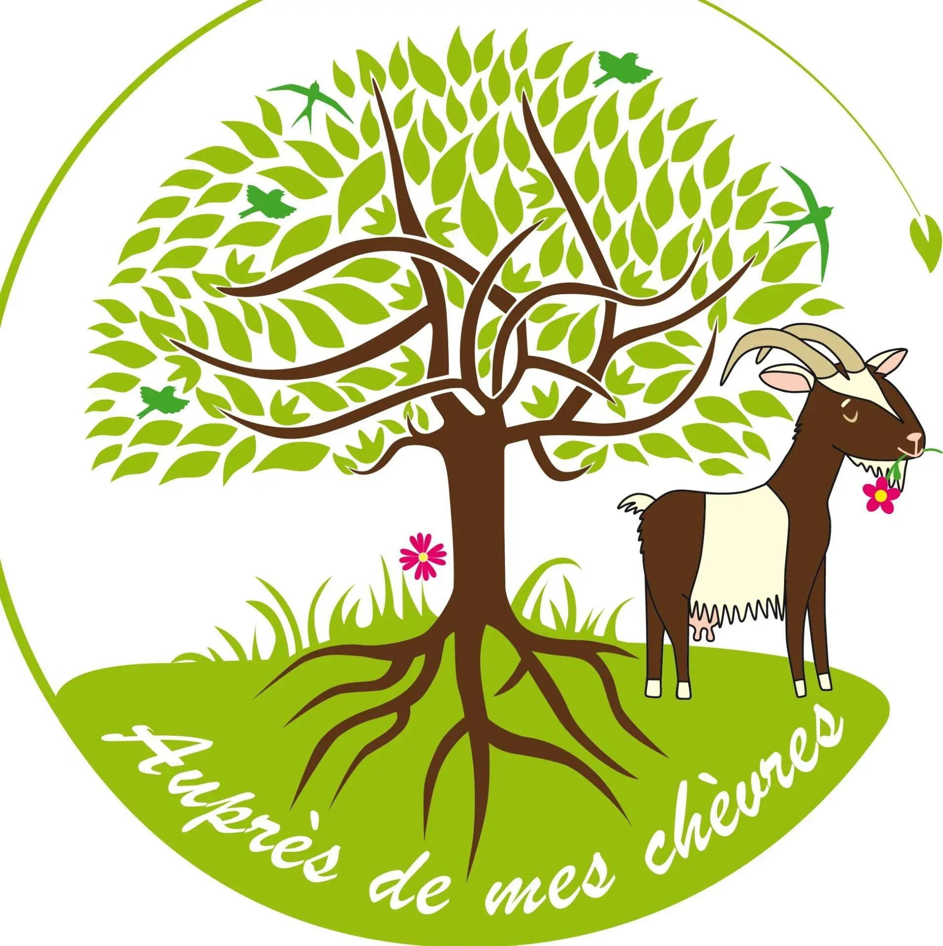 Auprès de mes chèvres