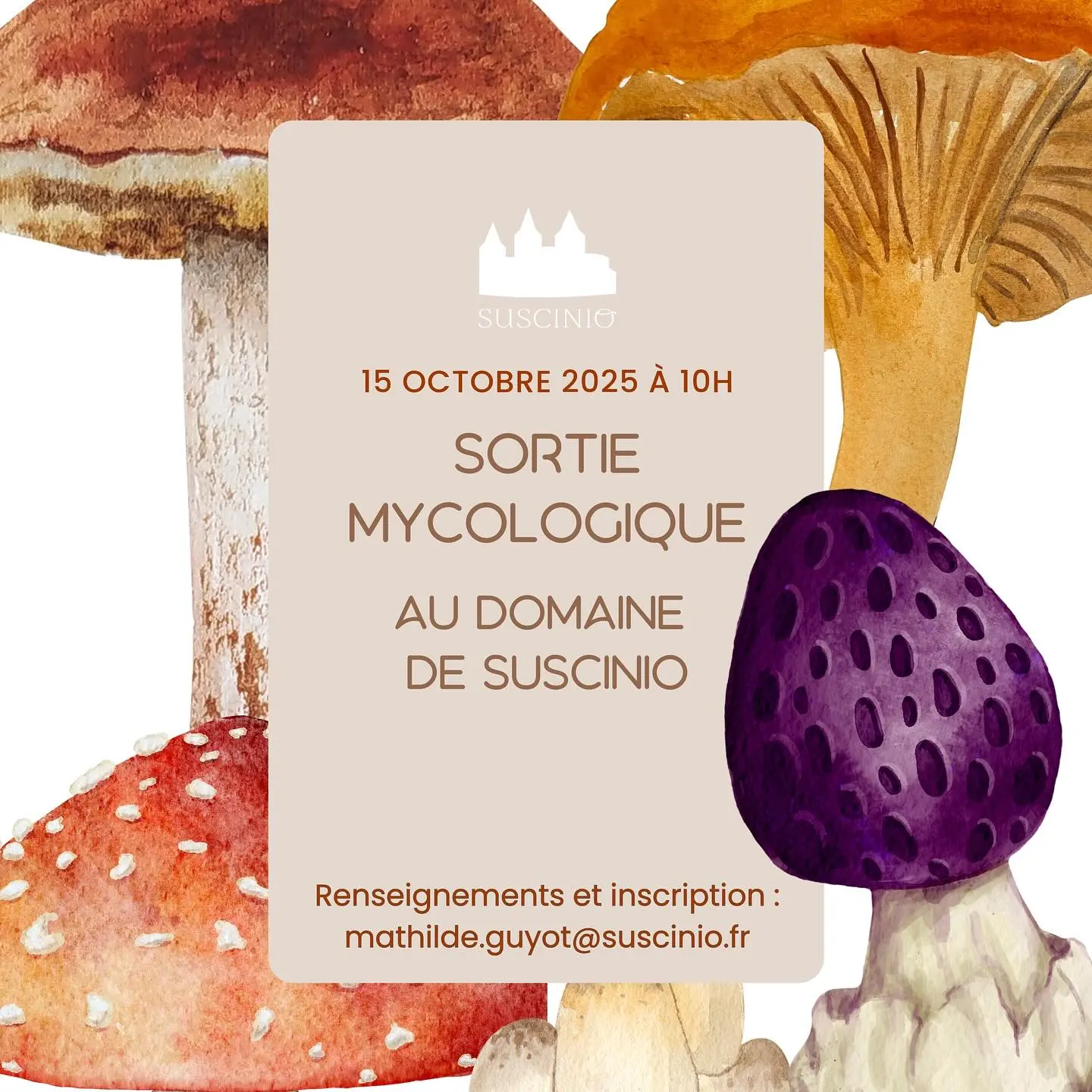 Sortie mycologique au Domaine de Suscinio