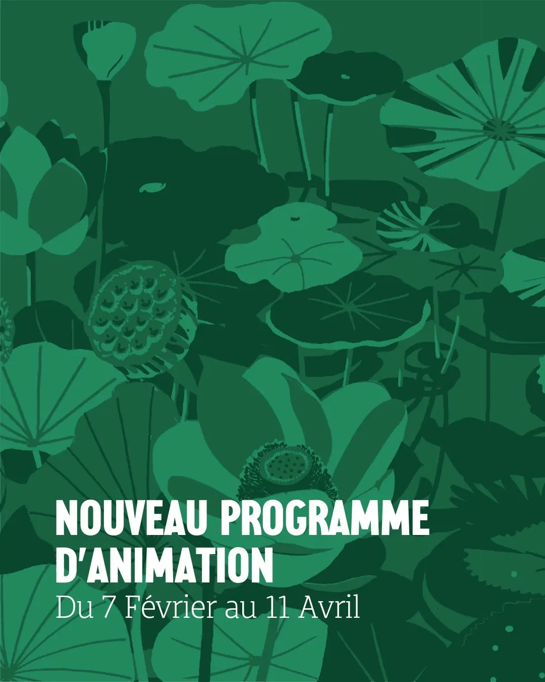 Du 7 février au 11 avril