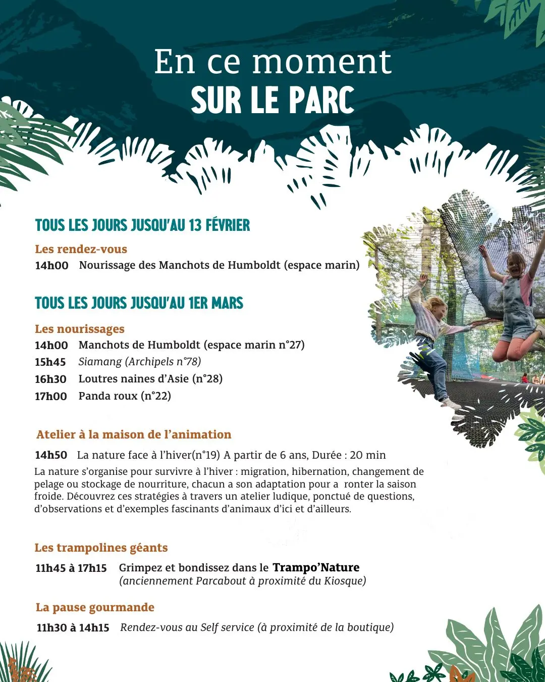 programme d'animations