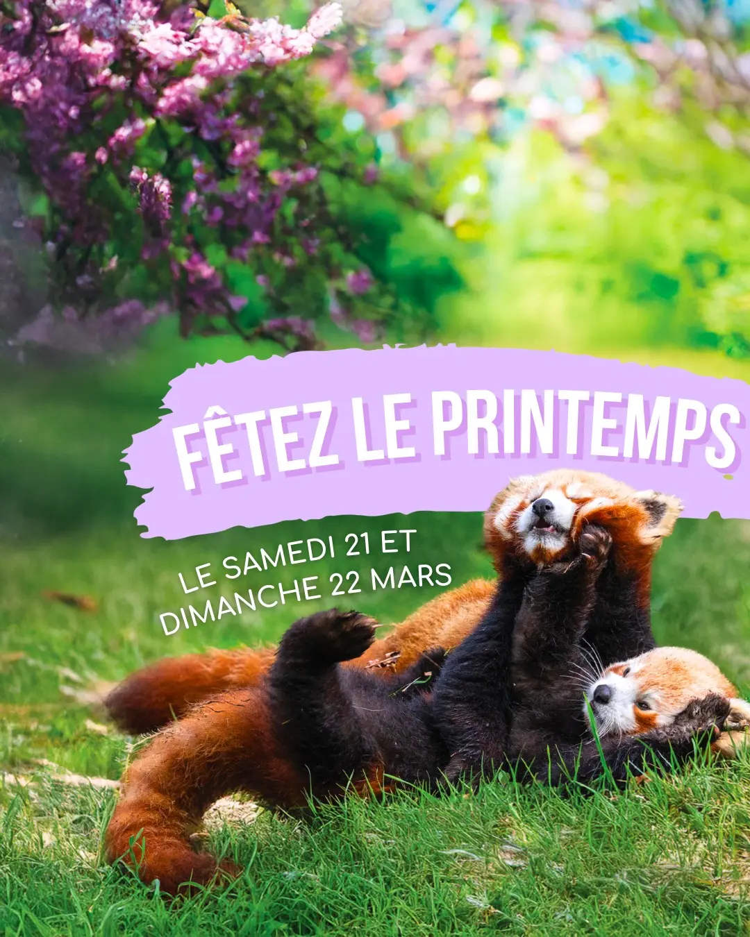 Fêtez le printemps