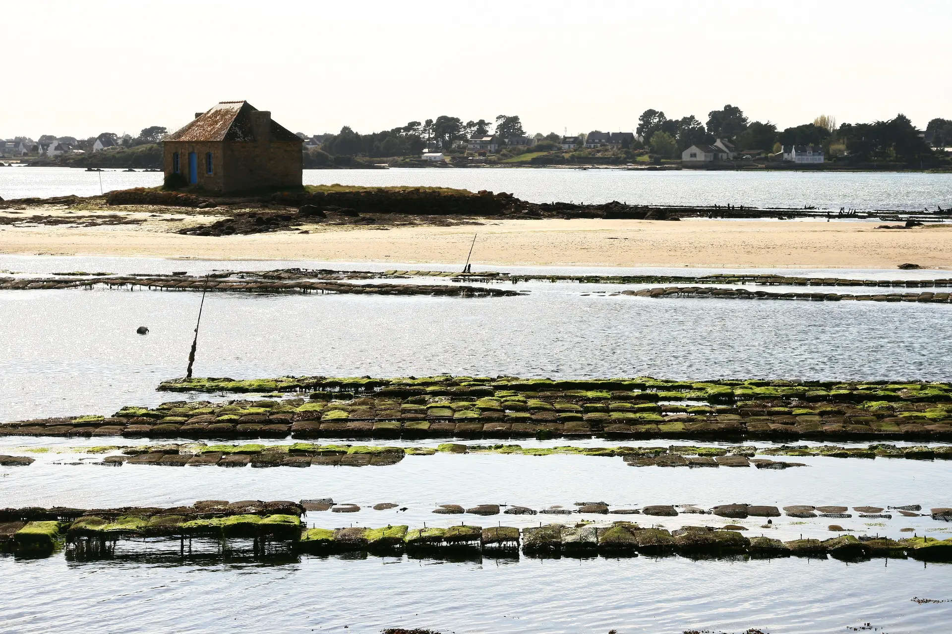 7chemins_detournes_ostrea