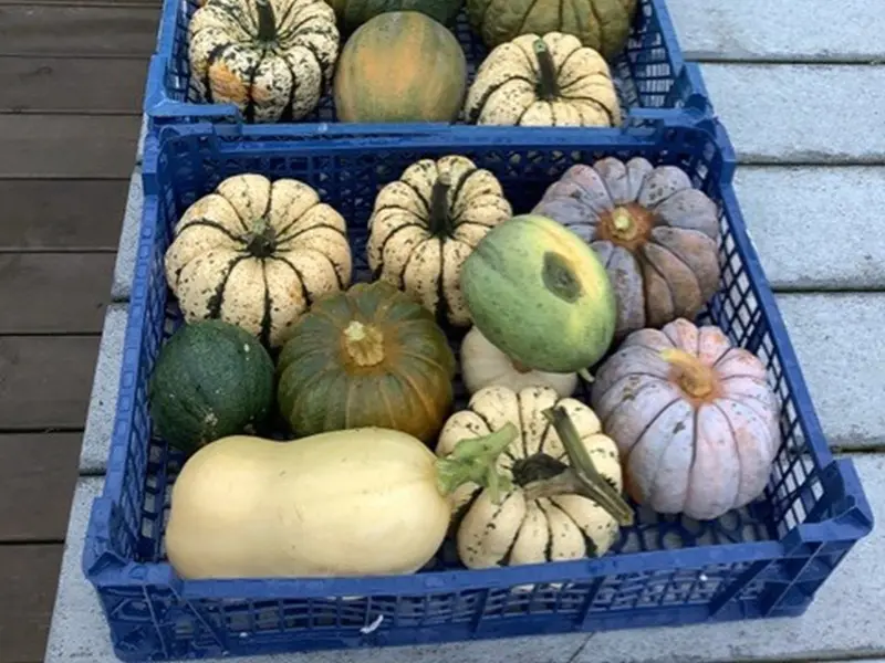 jardin-eden_atelier_participatif_permaculture_Concoret_DestinationBrocéliande