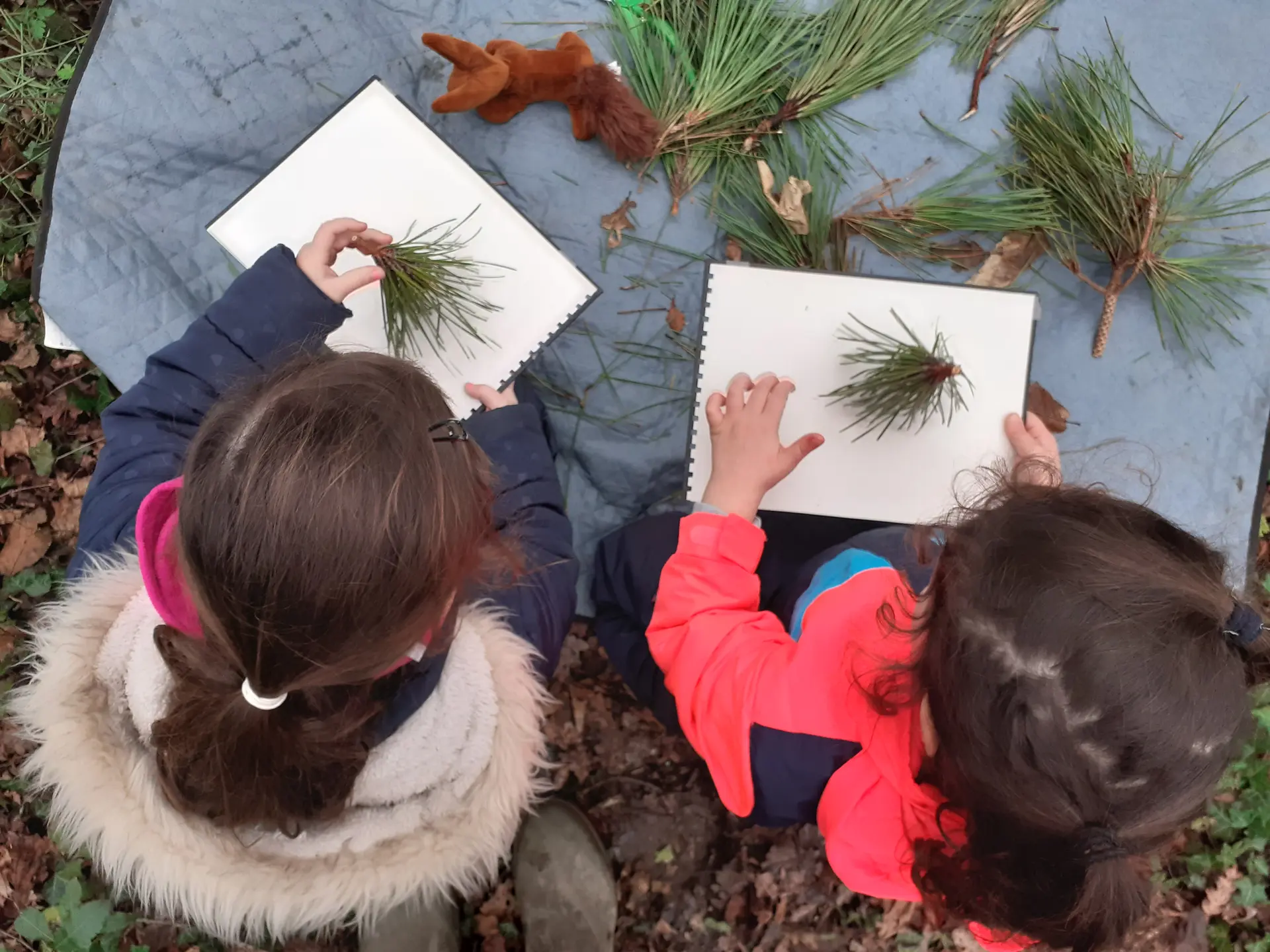 Balade contes et créations de nature