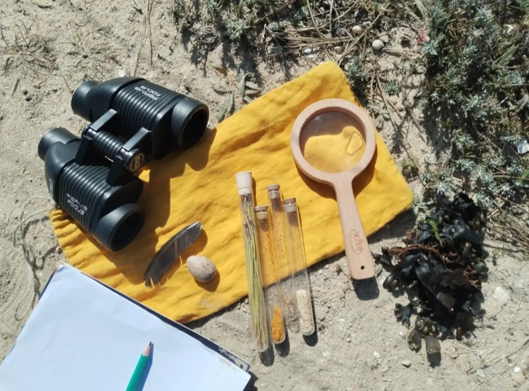 Syndicat mixte Dunes Sauvages de Gâvres Quiberon