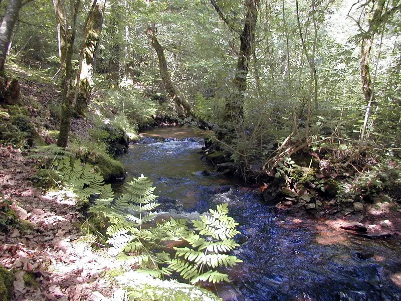 Conteur-eau_balade_CPIE_Concoret_Destination_Brocéliande
