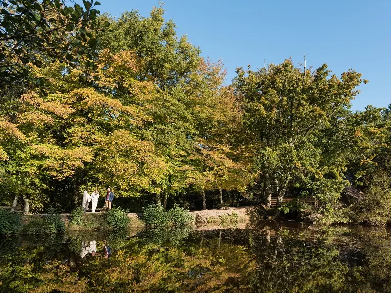 Flânerie_contée_Tréhorenteuc_DestinationBrocéliande2