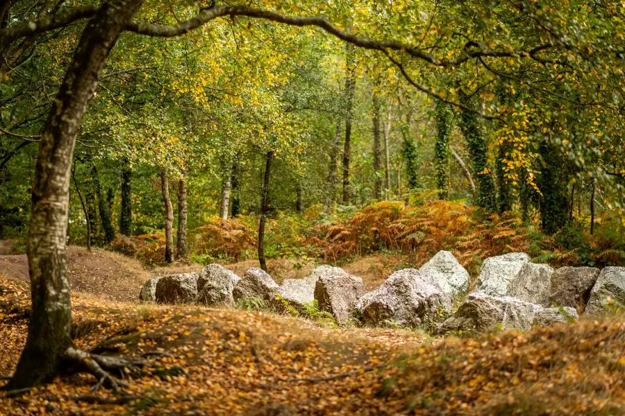 Jardin aux moines - Néant sur Yvel - Brocéliande - Morbihan
