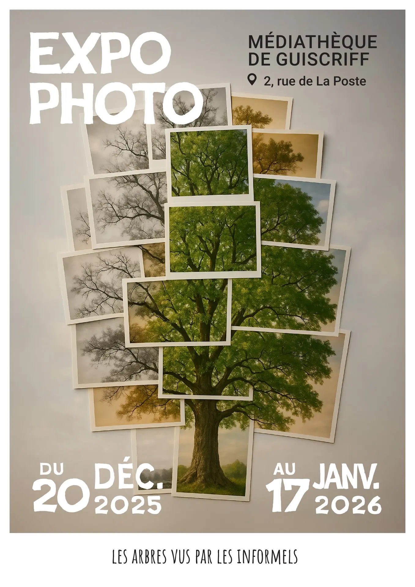 2025_2026_Decembre_Janvier_Guiscriff_Expo_Photos
