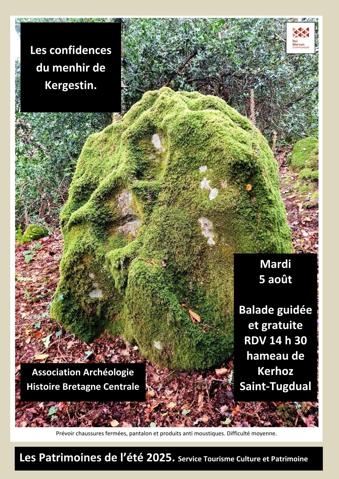 2025_Aout_Saint_Tugdual_Visite_Patrimoine_Menhir_Kergestin